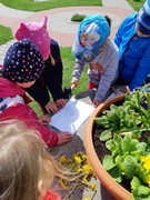 Tvoříme obrázky z pampelišek